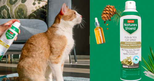 Apply For A FREE Nature’s Shield Flea & Tick Cat Spray!